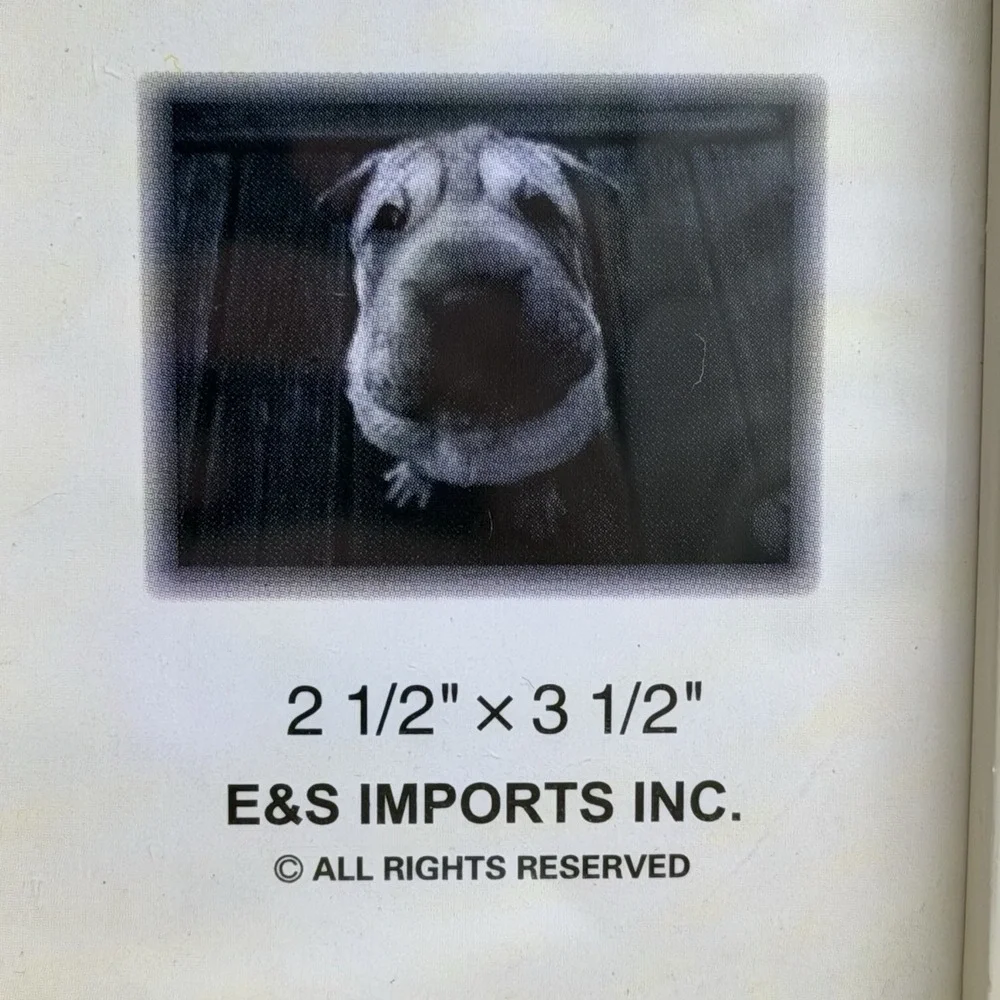 E&S Imports Pets Yorkshire Terrier Yorkie Puppycut‎ 2.5 X 3.5